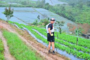 BIB: 1028
                            <button type="button" onclick="openModal(13378118)" class="btn btn-primary btn-sm float-right btn-popup" data-toggle="modal" data-target=".modal-high-quality">
                        <i class="fas fa-shopping-cart"></i> Add to Cart
                    </button>
                                            <button type="button" onclick="isThisMe(13378118, true)" class="btn btn-success btn-sm float-right btn-popup btn-isme hidden" data-toggle="tooltip" data-placement="bottom" title="นี่คือรูปของคุณใช่ไหม คลิกที่นี่เพื่อเอาเข้าอัลบั้ม">
                        <i class="fas fa-plus"></i> Add to album
                    </button>
                    <button type="button" onclick="isThisMe(13378118, false)" class="btn btn-warning btn-sm float-right btn-popup btn-isnotme hidden">
                        <i class="fas fa-ban"></i> Remove from album
                    </button>